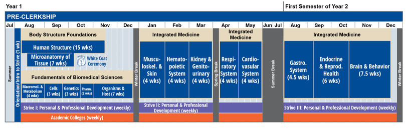 A curriculum timeline chart for pre-clerkship showing the course schedule for Year 1 and the first semester of Year 2